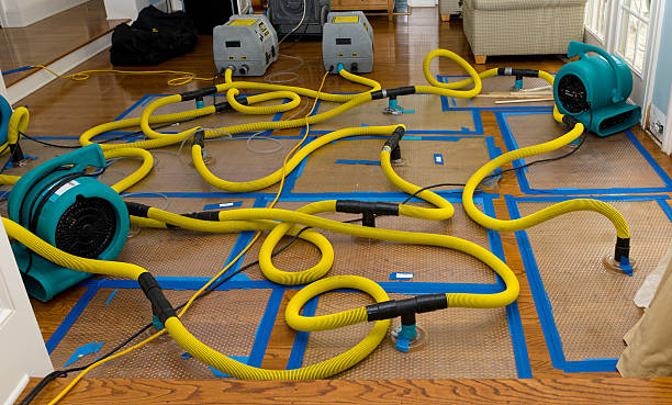 Professional Water Damage Repair technician working in Matawan, NJ